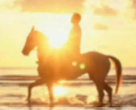 男人励志早安心语正能量