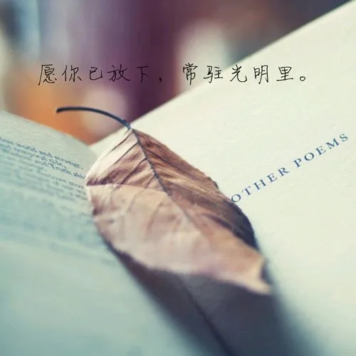 励志的情感的话