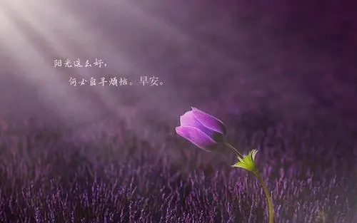 简单早安心语正能量短句