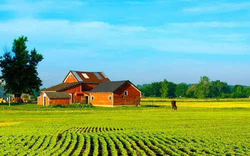 摘抄描写田园风光的句子文案