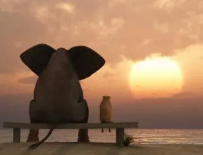 夸人心善的句子文案大全