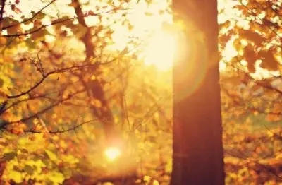 假期惬意的句子文案