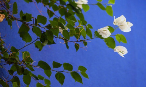 发朋友圈风景的精美句子文案