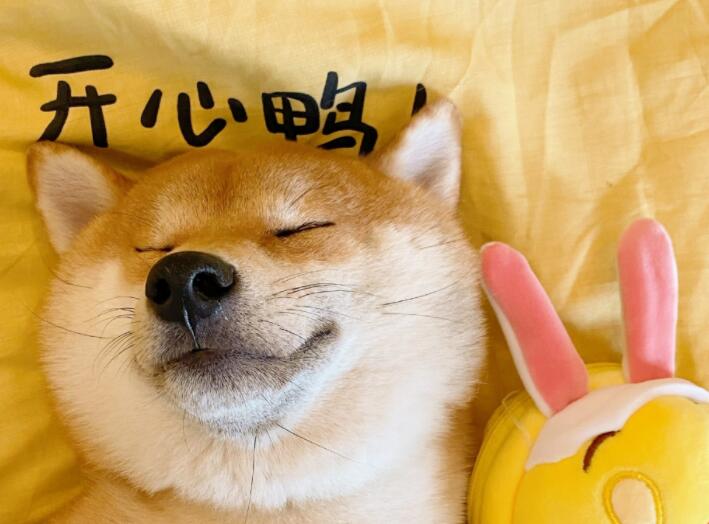 夸自己照片臭美的说说文案