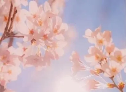 春天发的朋友圈配字