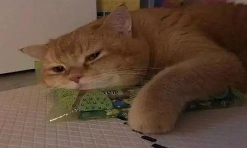 形容无聊的幽默句子文案