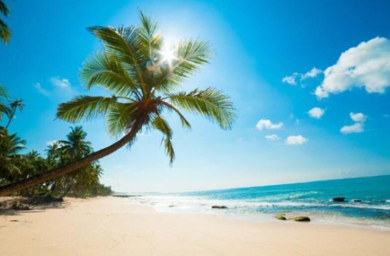 霸气高冷的正能量短句