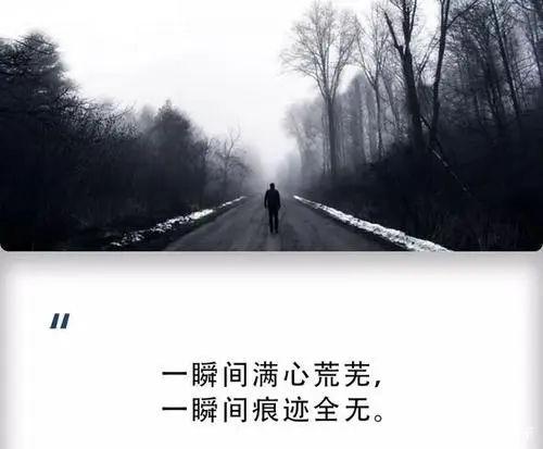 半夜孤独朋友圈