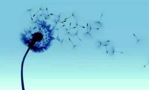 有关风的诗句文案