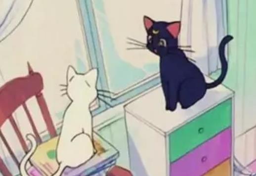 缘分八个字的个性签名