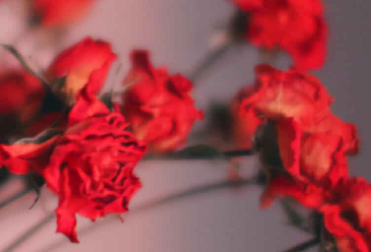 冷暖自知完整句子文案