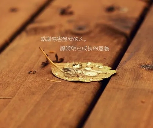 做自己就好的霸气语录文案