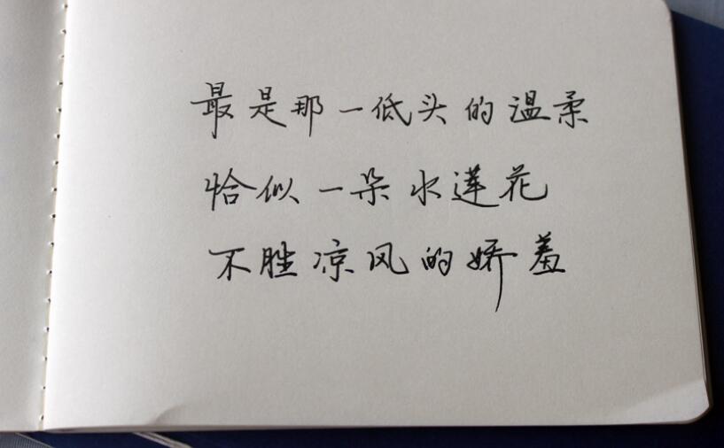 摘抄10个好句子文案