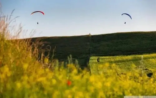 工作问候语正能量