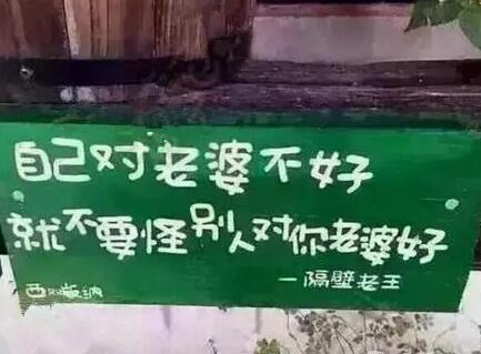 隔壁老王诗句文案