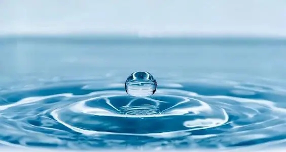 幼儿园世界水日文案