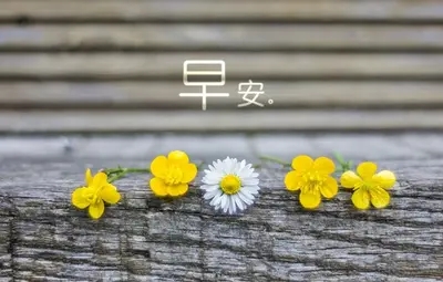 早上对一个人说早安的说说文案