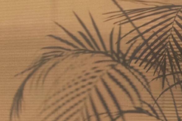 心情好看什么都美的句子文案