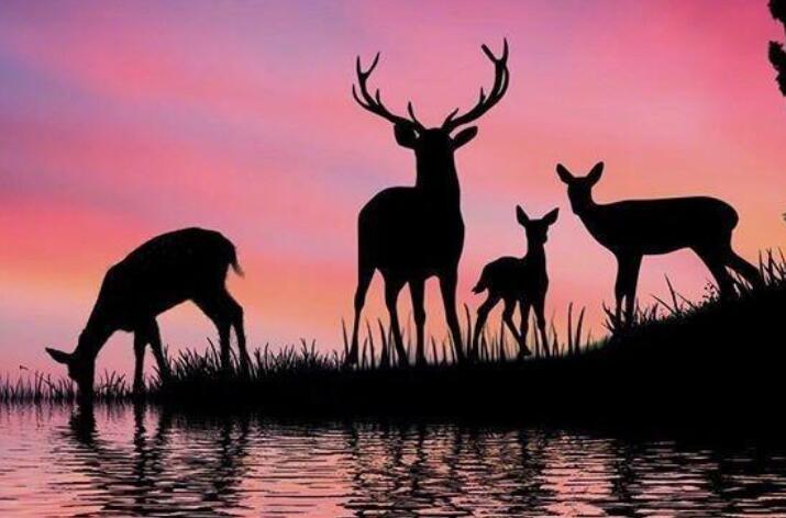 趁着年轻奋斗的句子文案