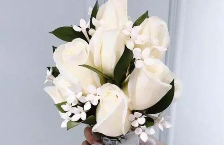 简短霸气早安一句话