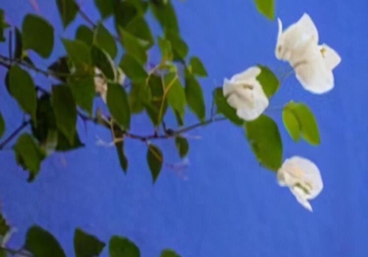 六年级毕业父母写给孩子的话