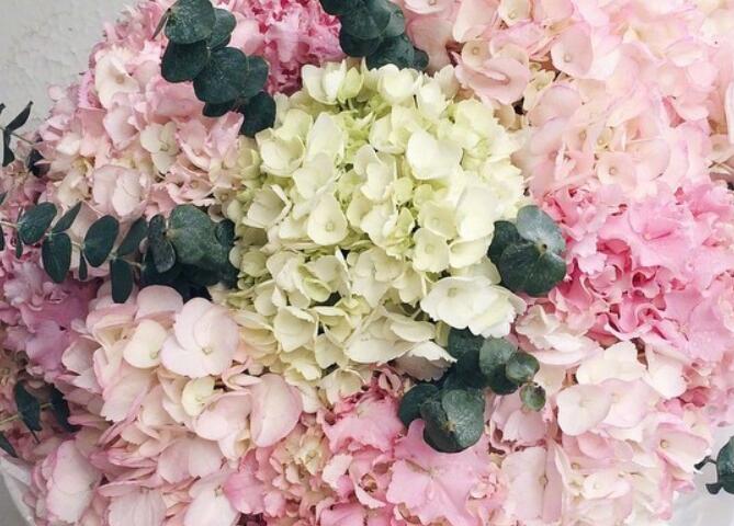 英文唯美句子文案摘抄