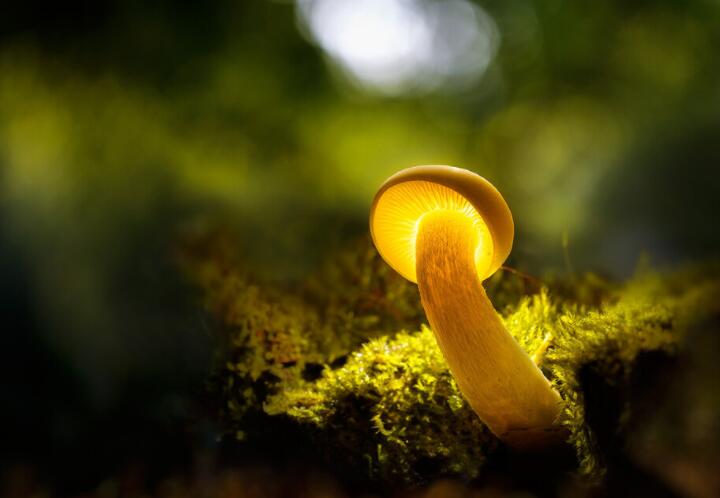 特别心酸的长句子文案