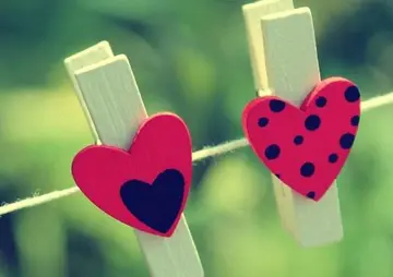 爱的句子文案大全不是爱情