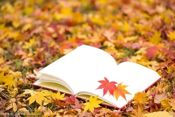 描写秋天好句文案摘抄大全10字