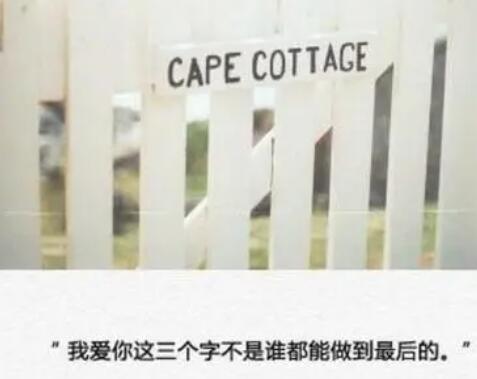 伤心放弃爱情的句子文案