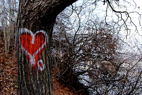 给男人表白情话文案最暖心一段话