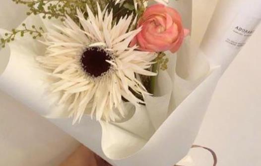 感情经典唯美句子文案