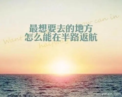 正能量政治语录文案