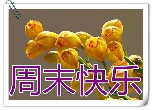 经典的一句话周末愉快