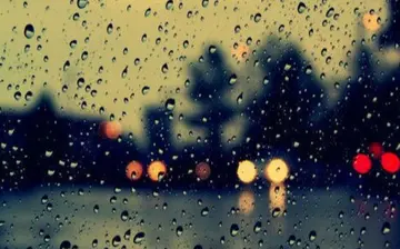 被亲人伤透了心的句子文案