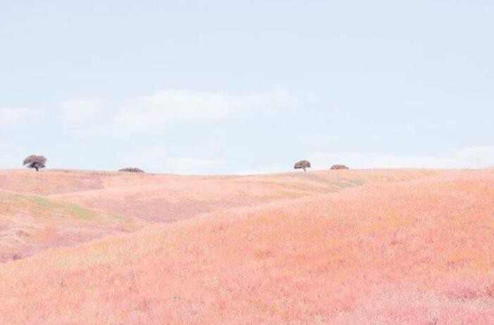 调侃幽默风趣的句子文案