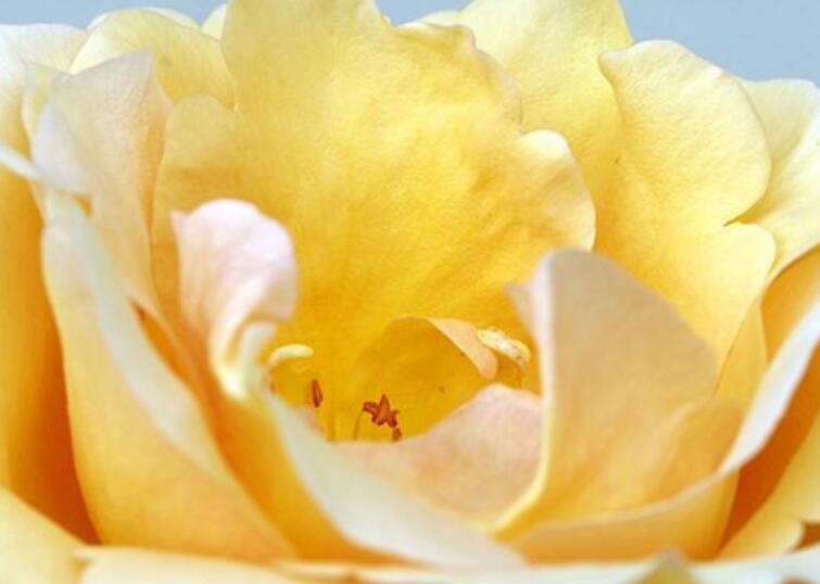 关于情商的145经典语录文案