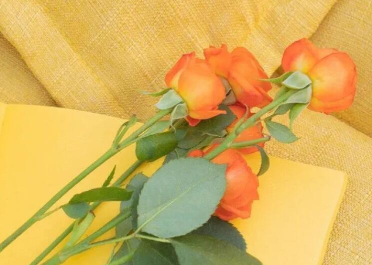 感觉自己很幸运的句子文案