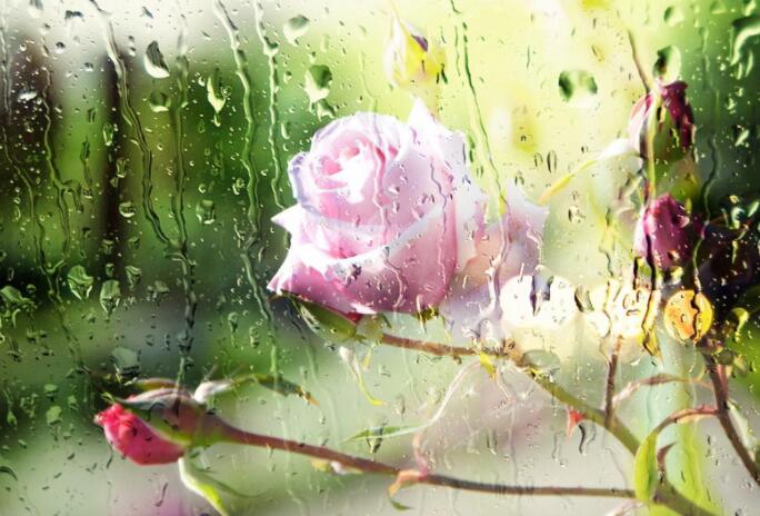 96字左右的古诗词