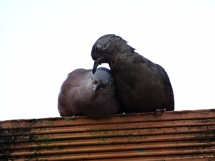 嫁了好老公的句子文案