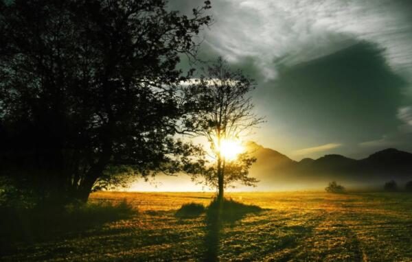 好段摘抄大全200字左右