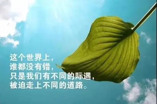 中午朋友圈说说的好句子文案