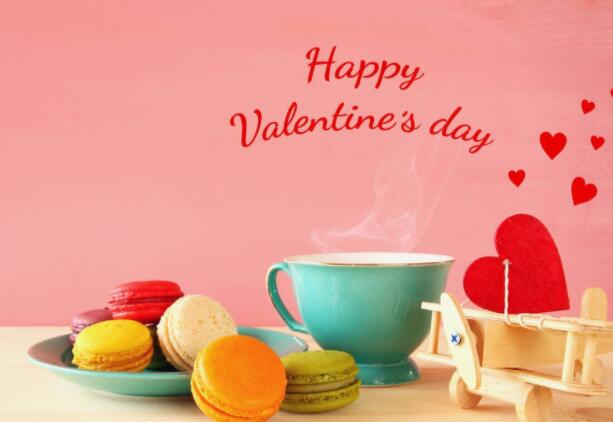 喜欢宅家的句子文案