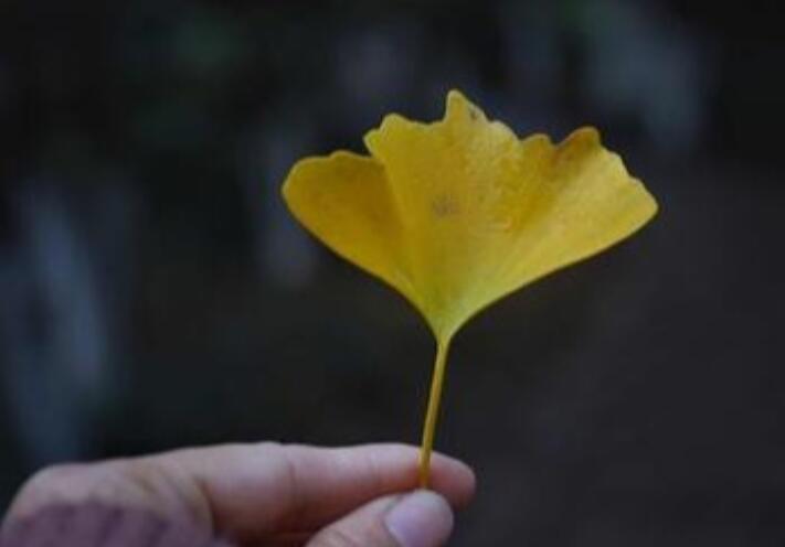 一转身就是一辈子伤感句子文案