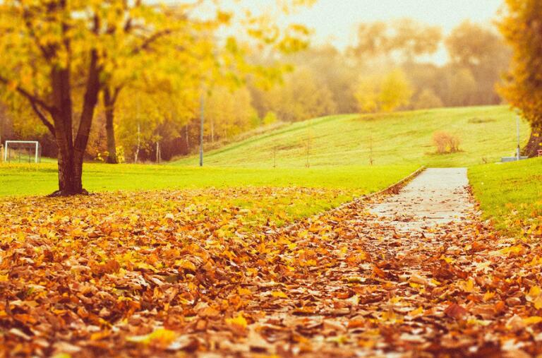 我爱秋天的句子文案