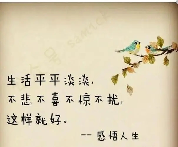 生活感悟经典句子文案微信