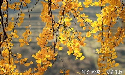 关于南北的简短句子文案