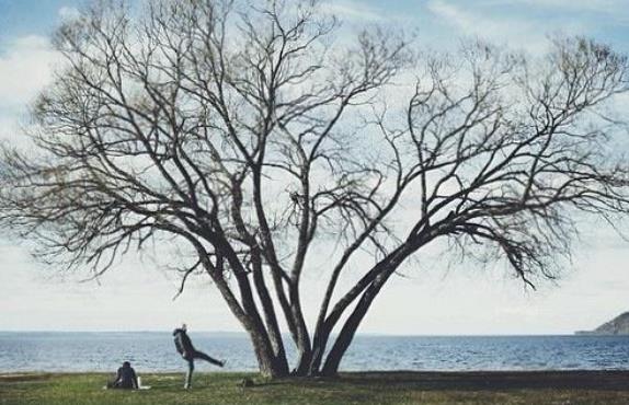 人生最经典的话