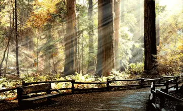 描写时间缓慢的句子文案