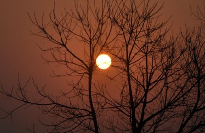 一句话早安心语